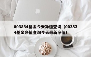 003834基金今天净值查询（003834基金净值查询今天最新净值）