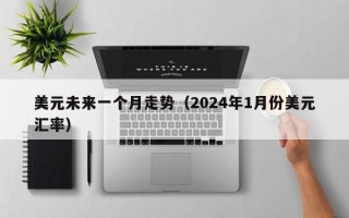 美元未来一个月走势（2024年1月份美元汇率）