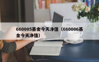 660005基金今天净值（660006基金今天净值）