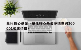 量化核心基金（量化核心基金净值查询360001买卖价格）