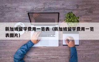 新加坡留学费用一览表（新加坡留学费用一览表图片）