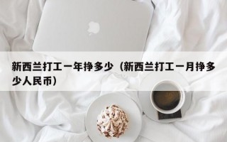 新西兰打工一年挣多少（新西兰打工一月挣多少人民币）