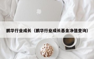 鹏华行业成长（鹏华行业成长基金净值查询）