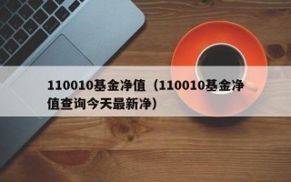 110010基金净值（110010基金净值查询今天最新净）