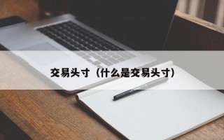 交易头寸（什么是交易头寸）