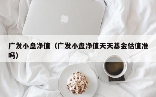 广发小盘净值（广发小盘净值天天基金估值准吗）